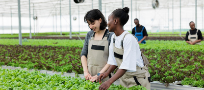 Unlocking the Future of Sustainable Agriculture: