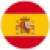 Language Flag